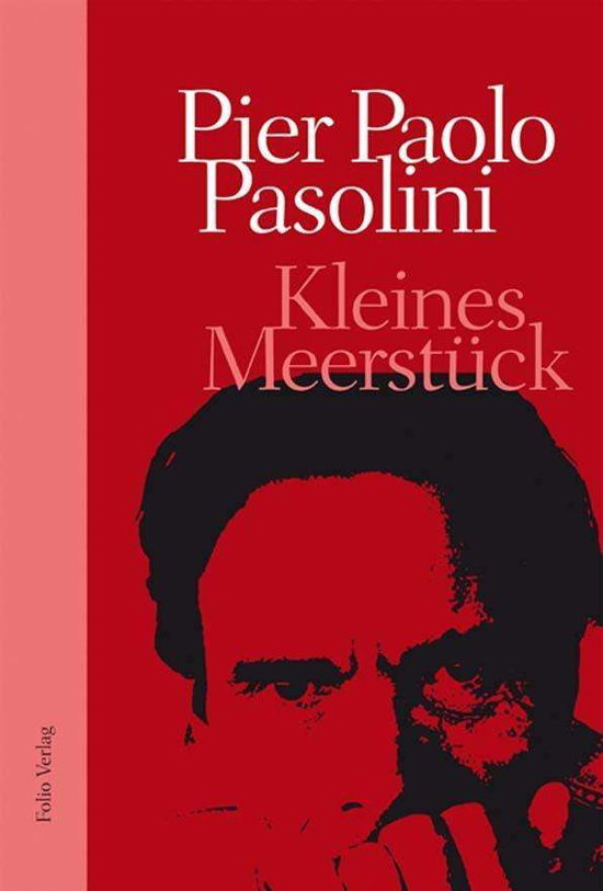 Kleines Meerstück - Pasolini - Książki -  - 9783852566719 - 