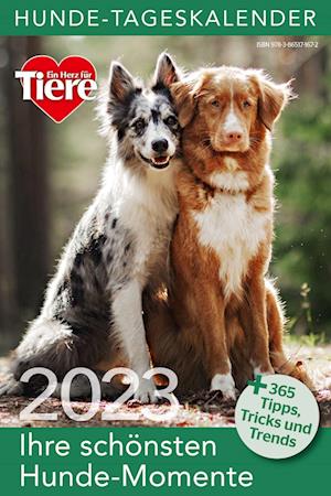 Cover for Bruckmann Verlag GmbH · Hunde Tageskalender 2023 (Calendar) (2022)