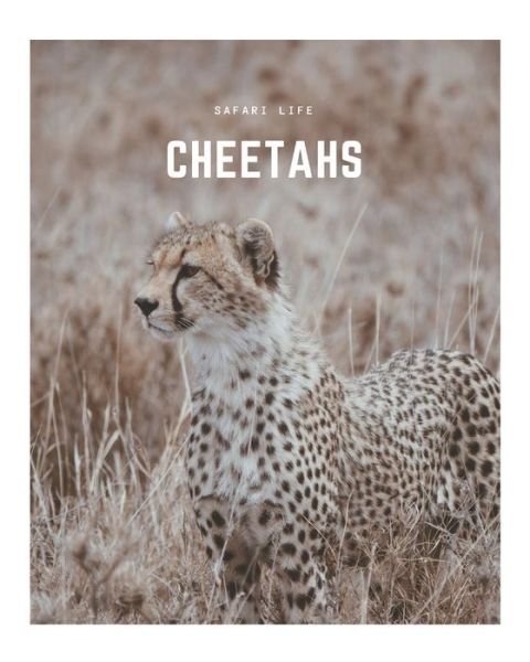 Cover for Decora Book Co · Cheetahs (Taschenbuch) (2020)