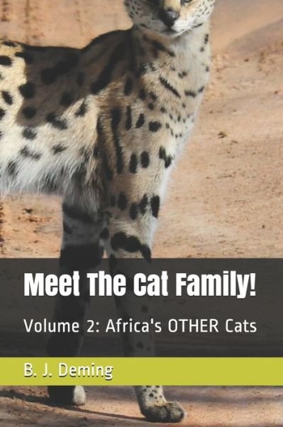 Cover for B J Deming · Meet The Cat Family! (Paperback Book) (2020)