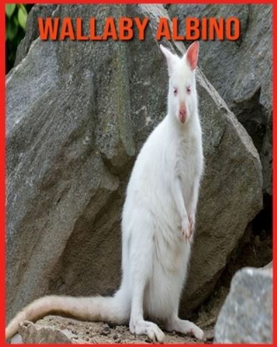 Wallaby Albino: Foto stupende e fatti divertenti Libro sui Wallaby Albino per bambini - Alicia Moore - Books - Independently Published - 9798714545719 - February 27, 2021