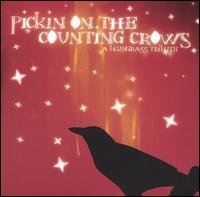 Pickin' On Counting -12Tr - Counting Crows - Muziek - CMH - 0027297882720 - 30 juni 1990
