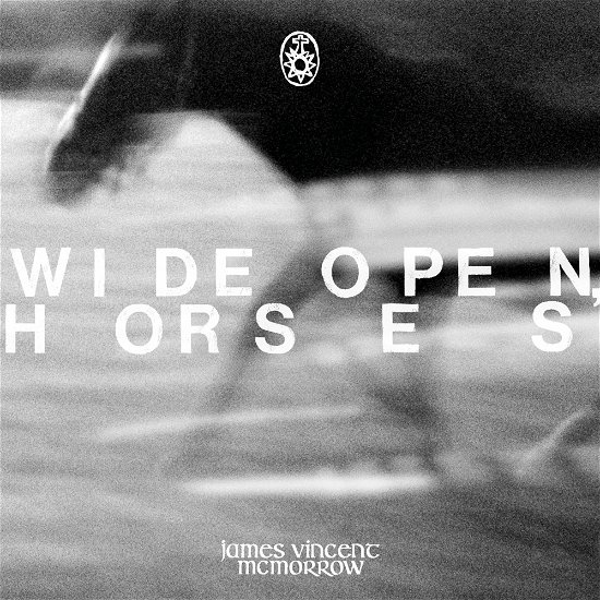 Wide open, horses - James Vincent Mcmorrow - Music - NETTWERK - 0067003153720 - June 14, 2024