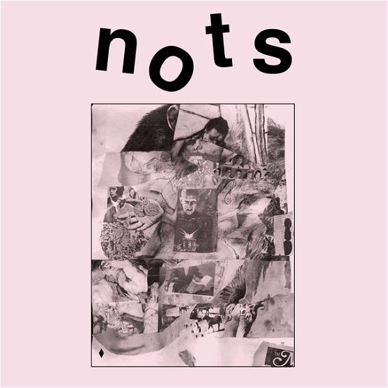 Cover for Nots · We Are Nots (CD) (2014)
