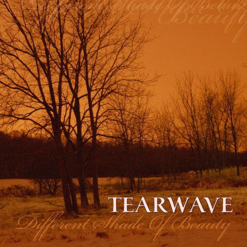 Cover for Tearwave · Different Shade Of Beauty (CD) (2012)