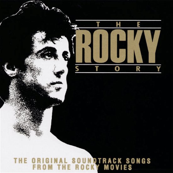 The Rocky Story - Original Soundtrack - Música - SONY BMG FULL INTERNATIONAL - 0638592105720 - 31 de marzo de 2004