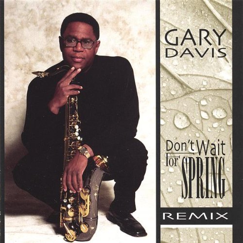 Dont Wait for Spring Remix - Gary Davis - Muziek - CD Baby - 0644167012720 - 18 juni 2002