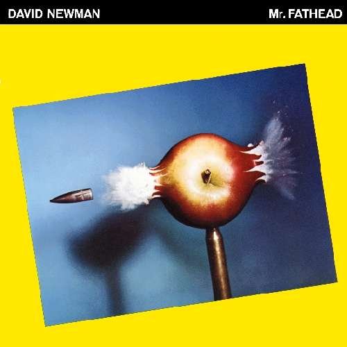 Mr Fathead - David Fathead Newman - Música - WOUNDED BIRD - 0664140291720 - 18 de maio de 2010