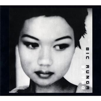 Drive - Bic Runga - Musik - YE LA - 0693723063720 - 18. august 2014