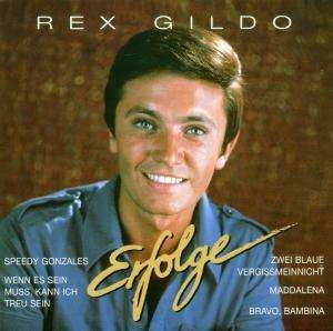 Cover for Rex Gildo · Erfolge (CD) (2010)