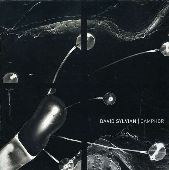 Cover for David Sylvian · Camphor (CD) (2002)