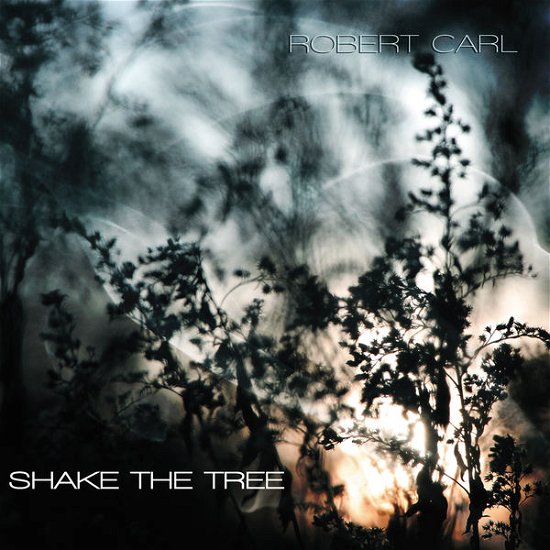 Shake the Tree - Robert Carl - Muziek - INN - 0726708685720 - 25 juni 2013