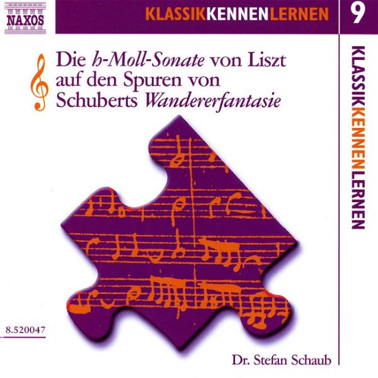 Stefan Schaub · Die H-moll Sonate Vol.9 (CD) (2012)