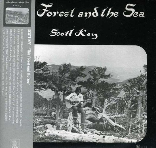 Cover for Scott Key · Forest And The Sea (CD) (2022)