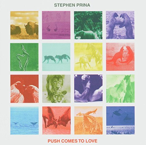 Push Comes To Love - Stephen Prina - Musik - DRAG CITY - 0781484014720 - 17. august 2016