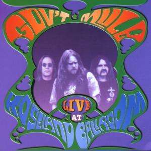 Live at the Roseland Ball - Gov't Mule - Musik - EVANGELINE - 0805772402720 - 1. oktober 2001