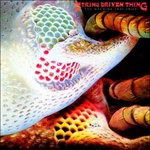 Cover for String Driven Thing · The Machine That Cried (CD) (2002)