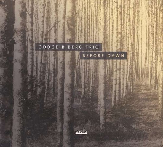 Cover for Oddgeier Berg Trio · Before Dawn (CD) (2018)