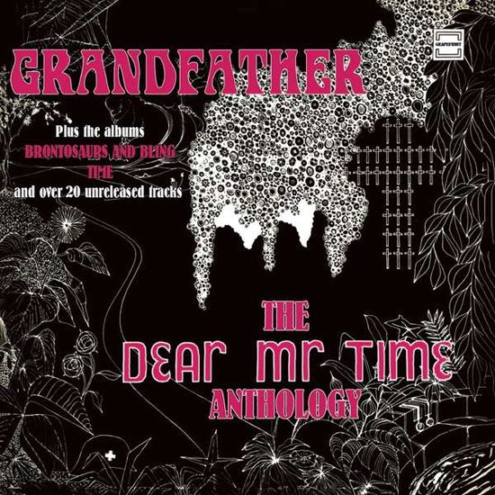 Grandfather - The Dear Mr. Time Anthology - Dear Mr.time - Musiikki - GRAPEFRUIT - 5013929189720 - perjantai 23. heinäkuuta 2021