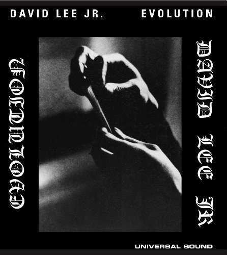 Evolution - David Lee Jr - Muzyka - Universal Sound / Soul Jazz Records - 5026328203720 - 1 listopada 2010