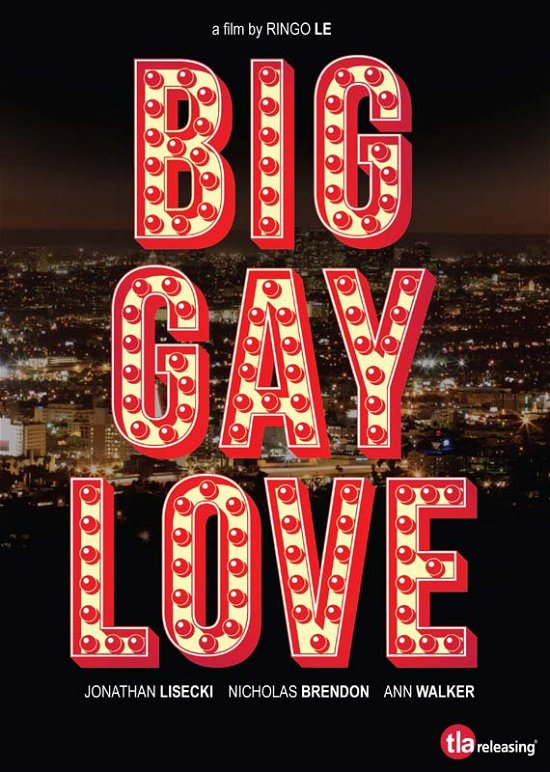 Cover for Big Gay Love (DVD) (2014)