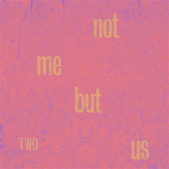 Two - Not Me But Us - Musikk - SONIC CATHEDRAL - 5060853703720 - 7. juni 2024