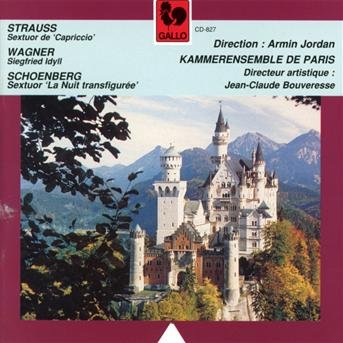 Cover for Strauss · Strauss-Wagner-Arnold Schonberg - Kammerensemble D (CD) (2019)