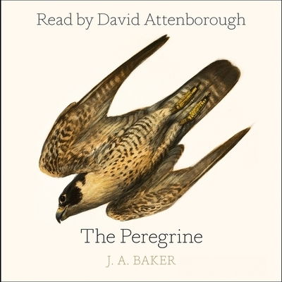 Cover for J. A. Baker · The Peregrine 50th Anniversary Edition (MP3-CD) (2020)