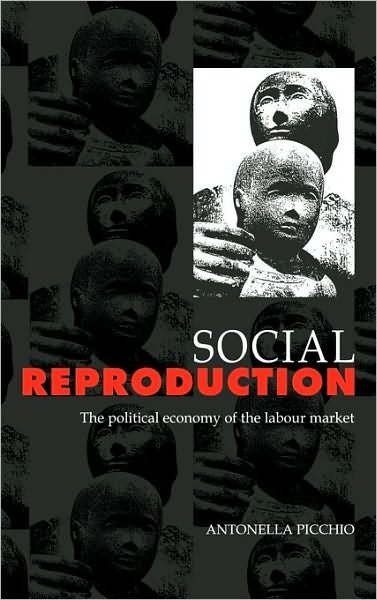 Cover for Picchio, Antonella (Universita degli Studi di Modena, Italy) · Social Reproduction: The Political Economy of the Labour Market (Hardcover Book) (1992)