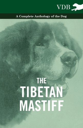 Cover for The Tibetan Mastiff - a Complete Anthology of the Dog (Pocketbok) (2010)