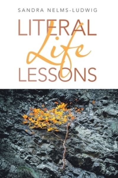 Cover for Sandra Nelms-Ludwig · Literal Life Lessons (Paperback Book) (2021)