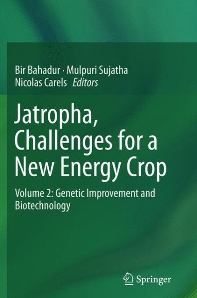 Jatropha, Challenges for a New Energy Crop: Volume 2: Genetic Improvement and Biotechnology - Bir Bahadur - Książki - Springer-Verlag New York Inc. - 9781489991720 - 28 stycznia 2015