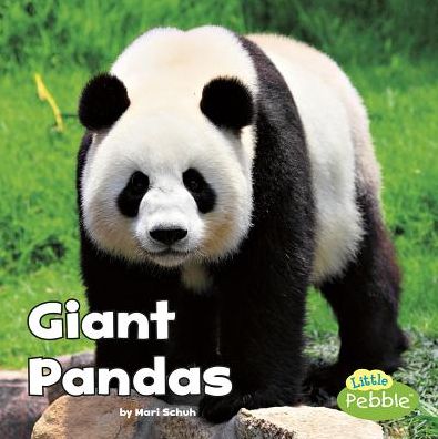 Cover for Mari Schuh · Giant Pandas (Inbunden Bok) (2017)