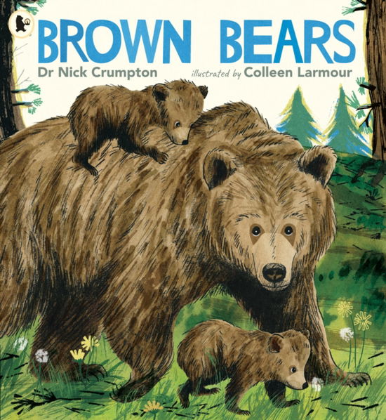 Cover for Dr. Nick Crumpton · Brown Bears (Paperback Book) (2025)