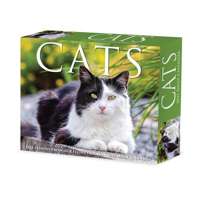 Willow Creek Press · Cats 2025 6.2 X 5.4 Box Calendar (Calendar) (2024)