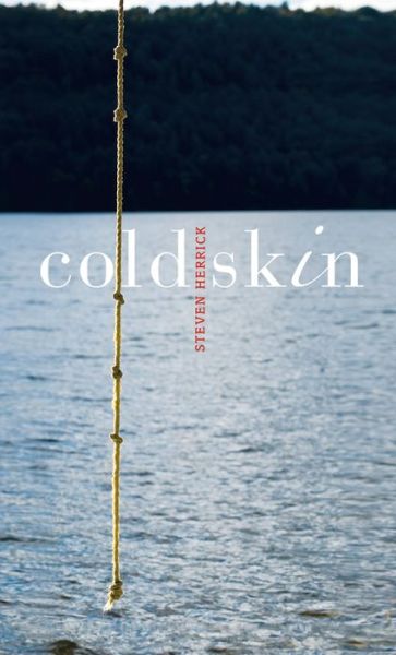 Cover for Steven Herrick · Cold Skin (Hardcover Book) (2009)