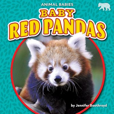 Cover for Jennifer Boothroyd · Baby Red Pandas (Hardcover Book) (2021)