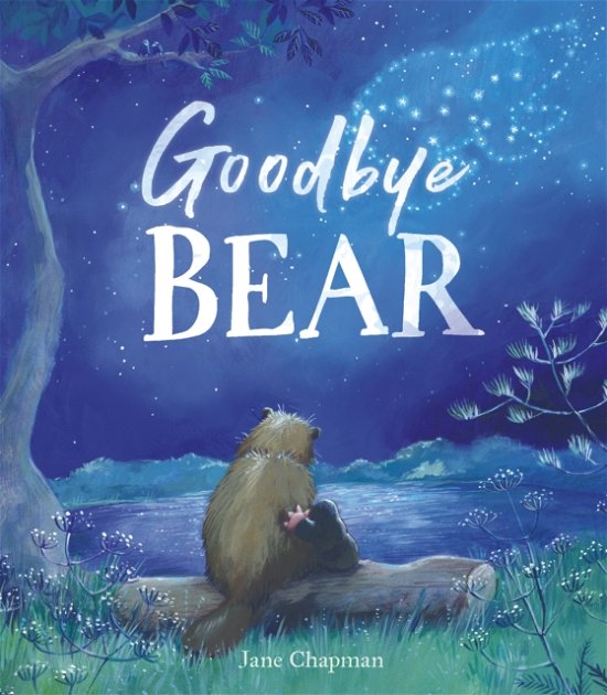 Cover for Jane Chapman · Goodbye Bear (Hardcover Book) (2022)