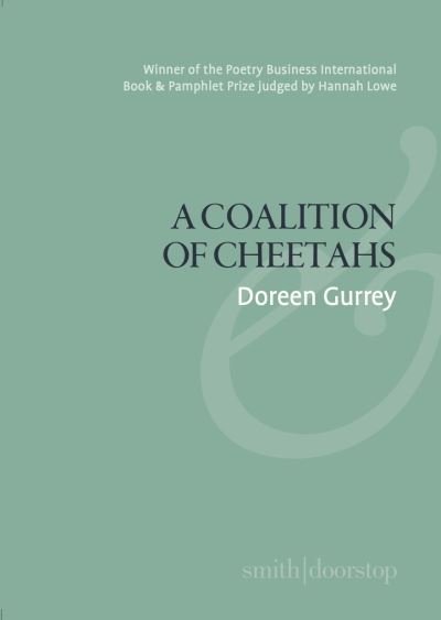 Cover for Doreen Gurrey · A Coalition of Cheetahs (Paperback Book) (2024)