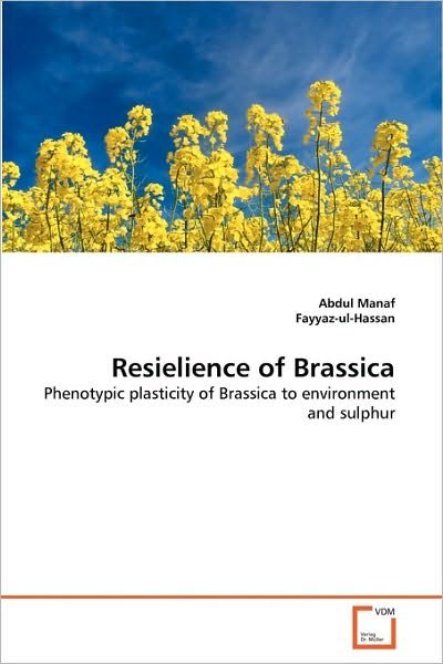 Cover for Fayyaz Ul-hassan · Resielience of Brassica: Phenotypic Plasticity of Brassica to Environment and Sulphur (Pocketbok) (2010)
