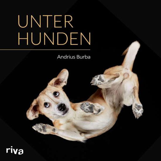 Cover for Burba · Unter Hunden (Bok)