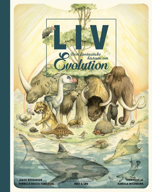 Cover for Jakob Brodersen; Pernille Engsig Eskildsen · Historiebøger til børn: Liv. Den fantastiske historie om evolution (Bound Book) [1er édition] (2018)