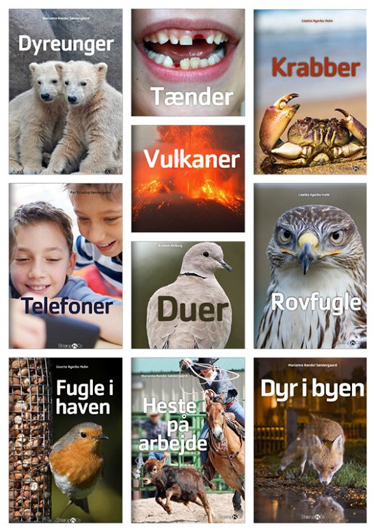 Cover for Midi Bogpakke 1 - Letlæsning for børn (Bokset) (2019)