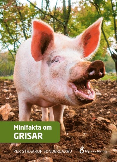 Cover for Per Straarup Søndergaard · Minifakta om ...: Minifakta om grisar (Gebundesens Buch) (2021)