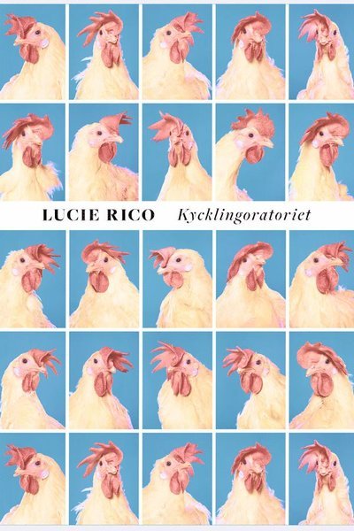 Cover for Lucie Rico · Kycklingoratoriet (Bound Book) (2024)