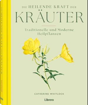 Cover for Dr. Catherine Whitlock · Die heilende Kraft der Kräuter (Book) (2025)