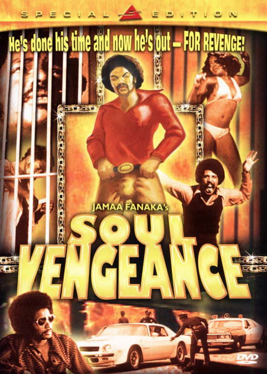 Cover for Soul Vengeance (DVD) (2004)