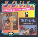 Cover for S.o.u.l. · What Is It/Can You Feel It (CD) (1996)