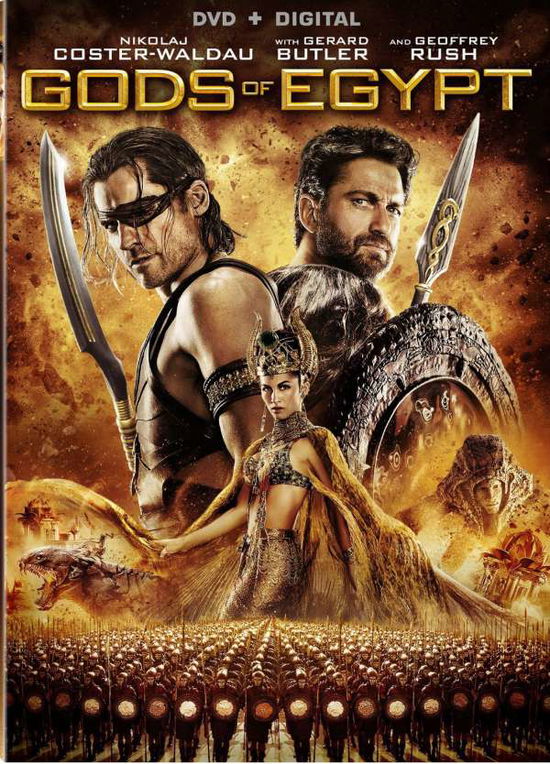 Cover for Gods of Egypt (DVD) (2016)