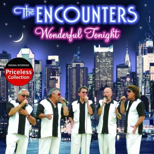 Cover for Encounters · Wonderful Tonight (CD) (2008)